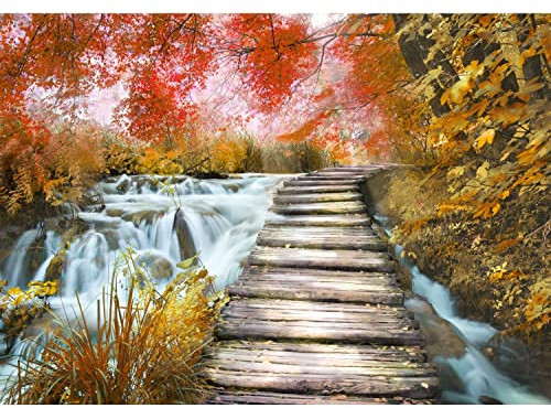 Runa Art Fototapete Wasserfall Herbst Modern Vlies Wohnzimmer Schlafzimmer - Made in Germany - Orange 9192010b