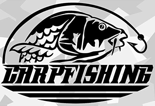 HR-WERBEDESIGN 1x Baits Karpfen Boilies Carp AUT Aufkleber Angeln Köder Fang Rute Fisch Hunters