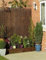 Abaseen Willow Bulrush Natural Garden Fence Panel Screening Roll Privacy Border Wind & Sun Protection (1.5m x 4m)