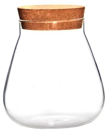 Homoyoyo Kreative Glasvase mit Korkverschluss Transparente Micro Landschaft Flasche für Kleine Pflanzen und Selbstgemacht Terrarium Dekorativer Vorratstopf für Süßigkeiten und Wohnraum
