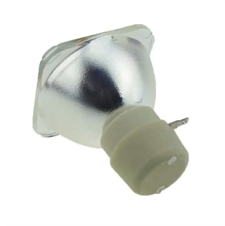 ZHANGMIYAN SP-LAM099 Projector lamp fit for INV30 Projector(SP-LAM099-CB)