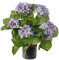 kunstpflanzen-discount.com Hortensien Kunstblume 42cm hoch mit 5 blauen Blüten - Künstliche Deko Hortensie blühend im Topf