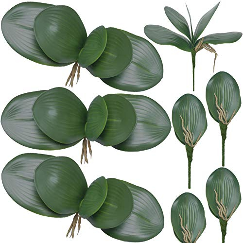 FagusHome 8 Stück Künstliche Orchidee Blätter 26cm - Phalaenopsis Kunstpflanzen Grün Deko (8Pcs)