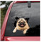 OGJFLT Auto Sticker Autoaufkleber Lustig Dog 2Pcs 20Cm Mops Crack Autoaufkleber Hundeliebhaber, Tolles Geschenk Für Hundeliebhaber