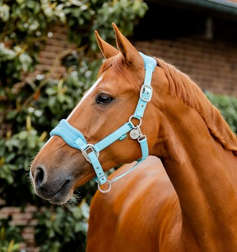 Horseware® Signature Pflegehalfter