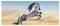 wandmotiv24 Leinwandbild Pferd, wei�, grau, Sand, W�ste 120x50cm (BxH) Bilder auf Leinwand, Dekoration Wohnung modern M1110