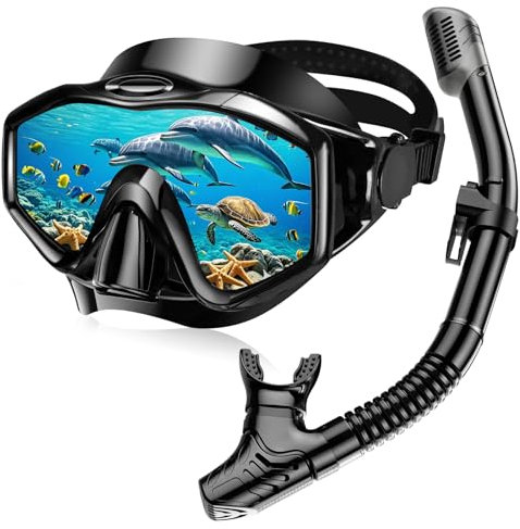 Snorkel Set Adults, Anti-Fog Panoramic Scuba Snorkelling Packages with Dry-Top Snorkel & Swimming Goggles for Diving, Swimming & Snorkeling (Black)