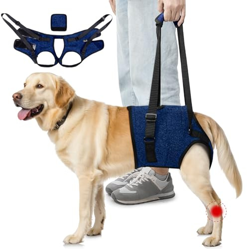SlowTon Unterstützungsgeschirr für Hinterbeine Geschirr für mittelgroße Hunde - Bequemes, verstellbares Hebegeschirr ältere, verletzte, arthritische, behinderte Hunde Rehabilitation