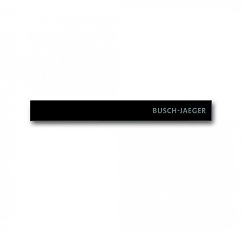 Busch-Jaeger Abschlussleiste Unten Temperaturfühler mit Kennzeichnung, 6352-825-101