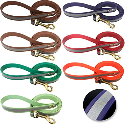 bio-leine Reflektierende Führleine aus Biothane - 25mm breit I 1,25-2m lang I Hundeleine reflektierend - Leine für kleine und große Hunde I 10 Farben