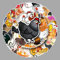 AUCEKO 50 Stück Tiere Chicken Aufkleber Pack Chicken Sticker Set wasserdichte Vinyl Sticker für Laptop Kinder Autos Motorrad Fahrrad Skateboard Gepäck Koffer Computer Aufkleber Graffiti Decal