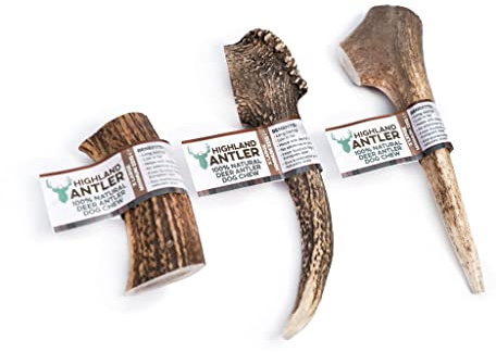 Highland Antler - Natural Antler Dog Chew. Pack of 1x Extra Large (220-270g) Naturally Shed Red Deer Antler, Long Lasting Dog Chew Bone With Calcium And Minerals (Shape may vary)