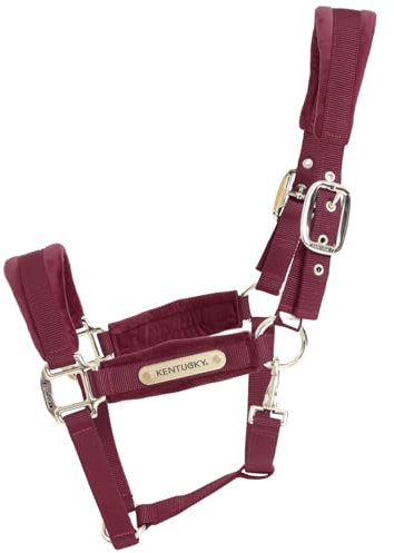 Kentucky Horsewear - Halfter - Samt - Bordeaux - Cob