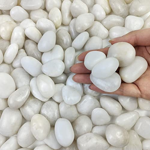 FANTIAN 10 Pounds White Pebbles for Outdoor Garden, 20-30 mm White Stones Rocks for Plants Pots, Aquariums, Vase and Outdoor Decorative Rocks