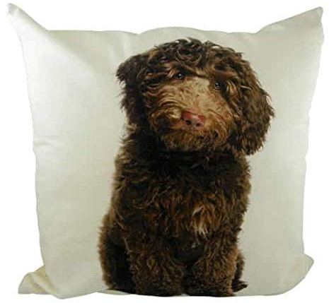 Mars & More Kissen Labradoodle mit Füllung 100 % Baumwolle 50 x 50 cm