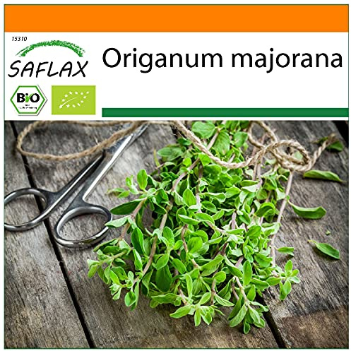 SAFLAX - Garden in the Bag - Ecológico - Mejorana - 700 semillas - Con sustrato de cultivo en un sacchetto rigido fácil de manejar. - Origanum majorana