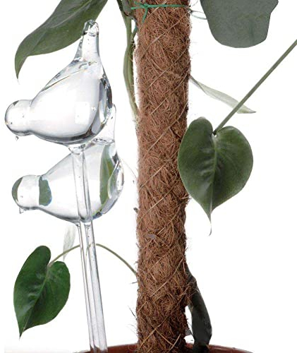 VILDE Bewässerungskugeln aus Glas | 2er-Set | 200 ml | Vogelförmige Kugeln | Perfekt für Wohnzimmer, Schlafzimmer, Esszimmer