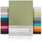 BEAUTEX Spannbetttuch Bettlaken aus Baumwolle, Premium Jersey Stoff 160g/m², Größe und Farbe wählbar (Standard - 100x200x30 cm, Olivgrün)