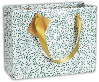 Clairefontaine 212886Cpack - Packung 5 Geschenktasche - Tüte , Format Shopping (32x13x24,5cm), Kollektion Smaragd, 170g, Blumen - Grün, geeignet für voluminöse Geschenke, 1 Pack