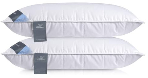 D & G THE DUCK AND GOOSE CO Natural Feather & Down Pillow – Luxury Sleeping Pillow with Downproof Dual-Layer Cover, Medium-Soft Density Support for Back & Side Sleepers (Pack of 1, 19x29 inches)