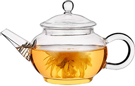 Teiera in vetro – Isend piccola teiera da tè con filtro a bobina di filo per tè sfuso e tè fiorito (250 ml)