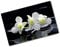Tulup Tabla De Cortar Cocina 80x52cm - Vidrio Protector De Placa De Induccion - Orquídea