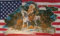 U24 Fahne Flagge USA Indianer auf Pferd Motiv II 90 x 150 cm