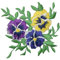 Stiefmütterchen/Stiefmütterchen/Blumen/Gelb/Violett/Violett