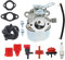 632113 Vergaser für Tecumseh 632113A HS40 HSSK40 Motoren für Toro 421 521 4hp 5hp Schneefräse