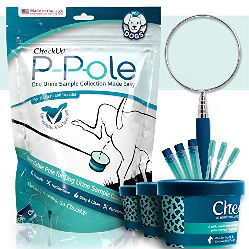KIT4CAT Palo telescopico Pale, tazze, pipetta e fiala per la raccolta di urina di cane.
