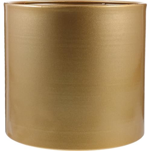 Yardwe Vaso Per Piante Da Vaso Per Orchidee Vasetti Per Piantine Vaso In Metallo Per Interni (16×16.7cm)