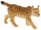 Bullyland 64449 - Spielfigur Luchs, ca. 8,9 cm große Tierfigur, detailgetreu, PVC-frei, ideal als kleines Geschenk für Kinder ab 3 Jahren