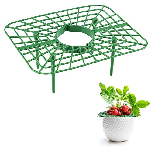 belupai 6er-Pack Erdbeer-Pflanzenstützen, Grüne Kunststoff-Erdbeer-Anzuchtgestelle, Quadratische Erdbeer-Anzuchtrahmen mit 4 Stabilen Beinen, Erdbeer-Spalier-Halter, um Gartenerdbeeren Sauber(Grün)