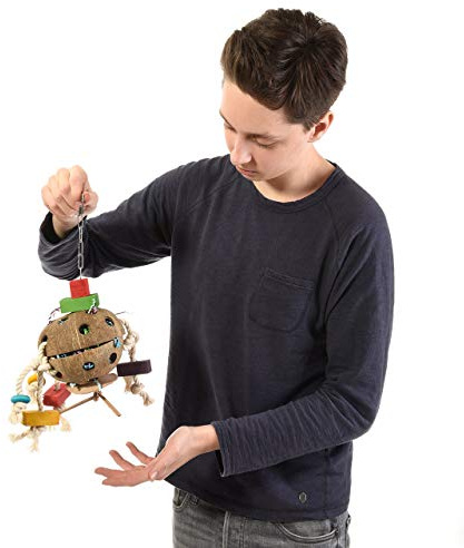 Wagner's | Papageien Spielzeug Coconut Fun II, mit Edelstahl Kette, Vogel Spielzeug für mittlere und große Papageien, Kokusnuss Spielzeug