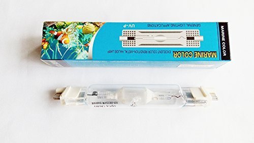 Marine Color 250 W HQI 10.000 K Double Ended FC2 Metall-Halogen-Glühlampe Aquarium Beleuchtung