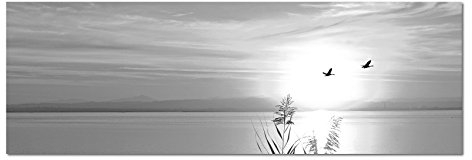 Leinwandfoto als Panorama SCHWARZ/WEISS 120x40cm See Gräser Vögel Sonnenuntergang