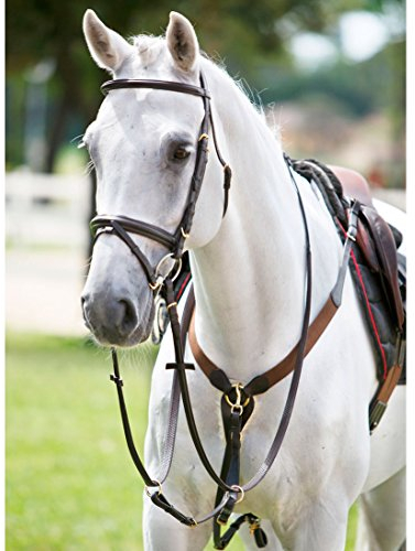 Brust-Tittini-COB-schwarz