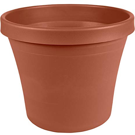 Bloem Terra Resin Saucer Tray: 8 Bottom Width - Matte, Durable, Ribbed Bottom, Indoor and Outdoor, Fits 10 Terra Pots, Terra Cotta