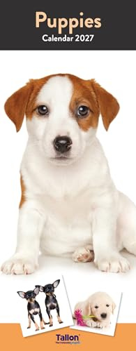 2027 Slim Month To View Spiral Bound Pet Dog Photo Wall Calendar (Puppy)
