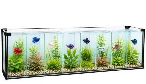 Zucht Aquarium 38L, 8-Kammern + Rückwand-Filter, Aufzucht Betta Garnelen