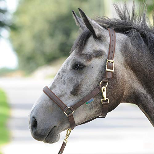 Halfter Dublin Größe: Wam Farbe: braun