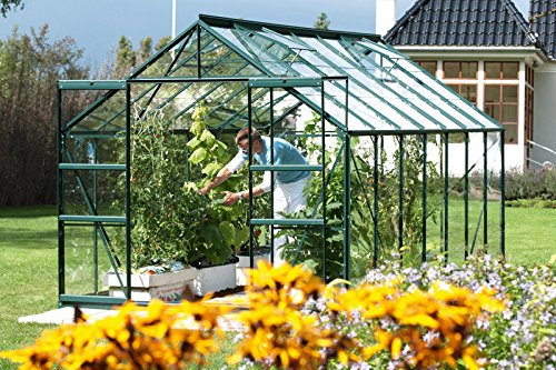 Vitavia Gewächshaus Mars - Ausführung:11500 ESG 3 mm Grün, Fläche:ca. 11,5 m², Fenster:2, Maße:257 x 445 cm, Sockel:255 x 441 cm,