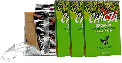 Chicza Organic Chewing-Gum Menta Verde, Certificato Biologico e Kosher, Biodegradabile, Set 3x30g