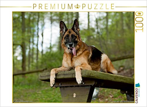 CALVENDO Puzzle Deutscher Schäferhund 1000 Teile Lege-Größe 64 x 48 cm Foto-Puzzle Bild von Petra Schiller