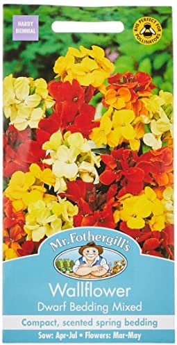 Mr Fothergill's 11061 Flower Seeds, WallFlower Dwarf Bedding Mixed