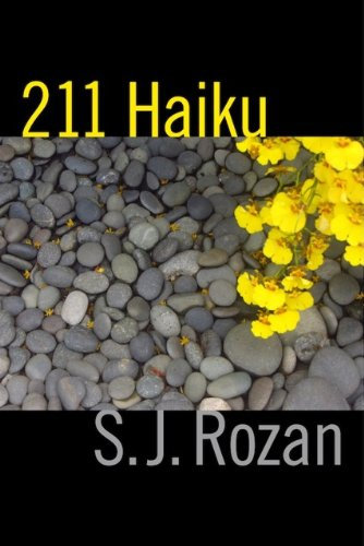 211 HAIKU (English Edition)