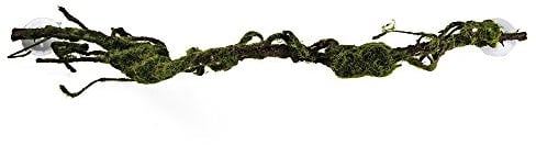 HOBBY Terraristik Liana M I 80 x 6 cm I Natürliches Aussehen I Besonders flexibel I Fühlen Sich echt an I Für baumbewohnende Reptilien und Amphibien