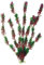 Amtra Wave Plant Classic Flora Bicolour SM