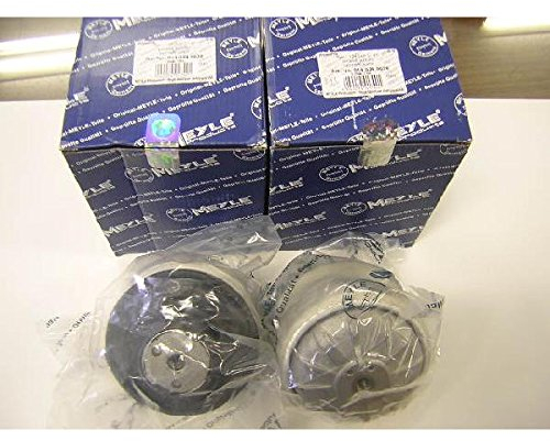 Meyle 014 024 9036 Lagerung, Motor