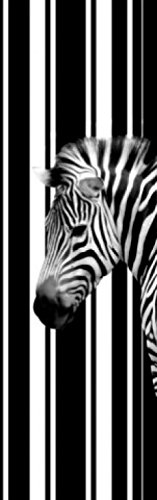 1art1 Zebras Barcode Zebra, 1-Teilig Fototapete Poster-Tapete 250x79 cm